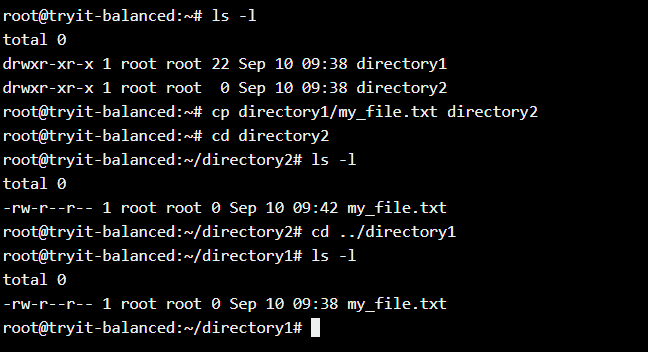 copy file from outside directory