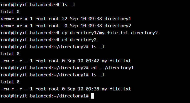 ssh copy files from one directory to other